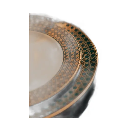 Dinner Plate
