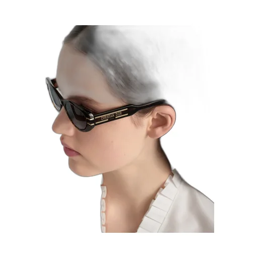 Diorsignature B8U