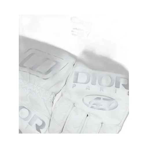 Dior And Descente Ski Gloves