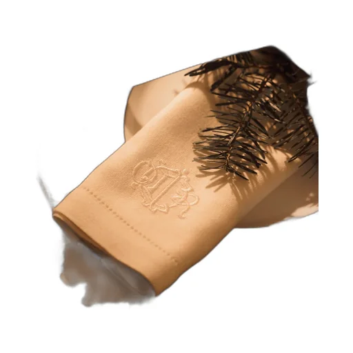 Napkin