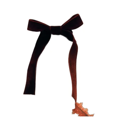 Napkin