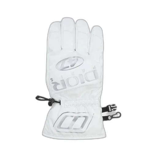 Dior And Descente Ski Gloves