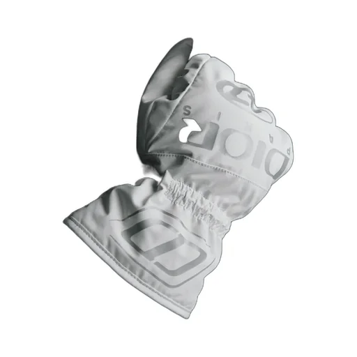 Dior And Descente Ski Gloves