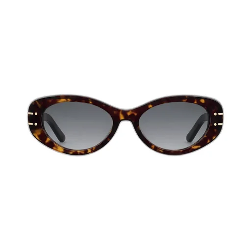 Diorsignature B8U