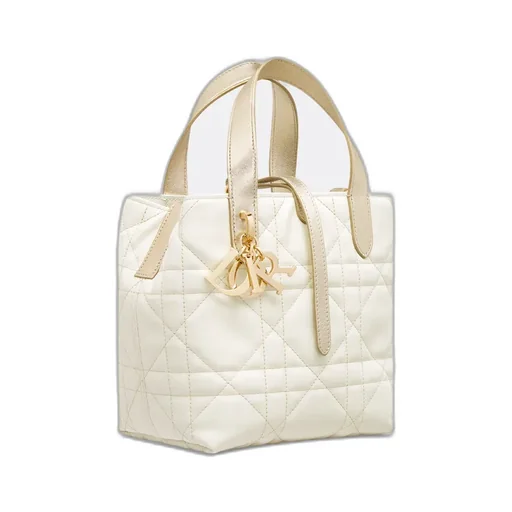 Small Dior Toujours Vertical Tote Bag
