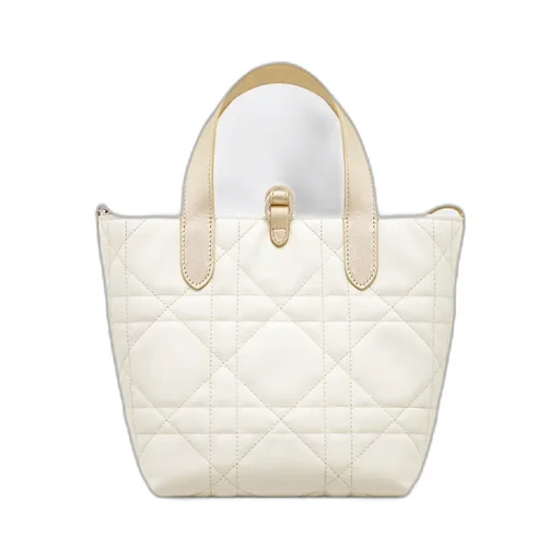 Small Dior Toujours Vertical Tote Bag