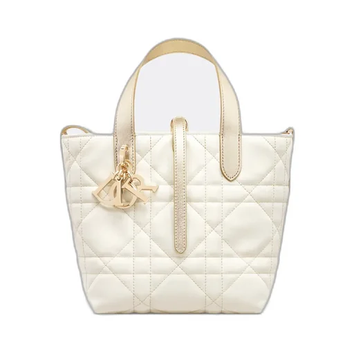 Small Dior Toujours Vertical Tote Bag