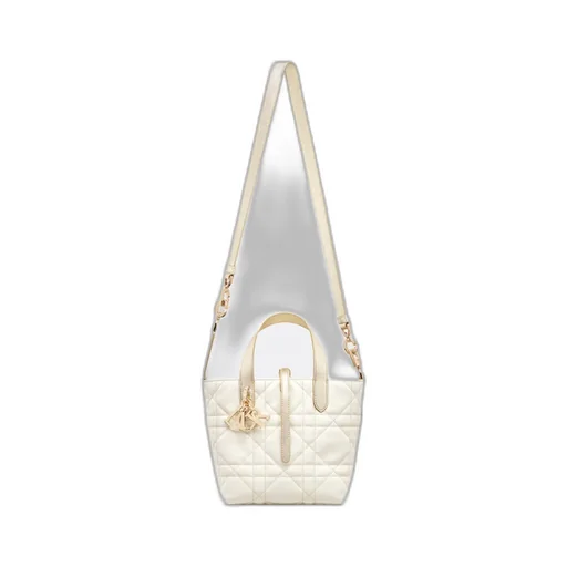 Small Dior Toujours Vertical Tote Bag
