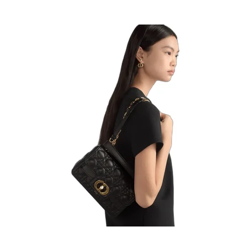 Small Dior Jolie Top Handle Bag
