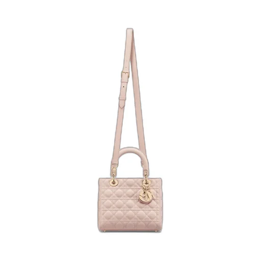Medium Lady Dior Bag