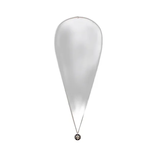 Medium Rose Des Vents Medallion