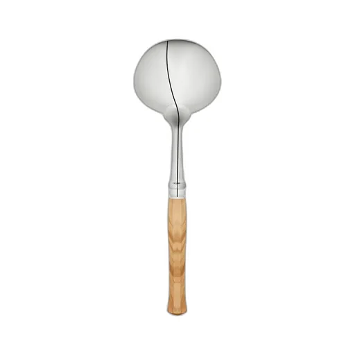 Ladle