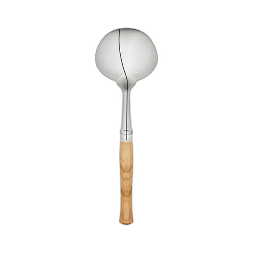 Ladle