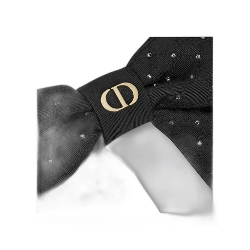 Large Dior Twist Bow
