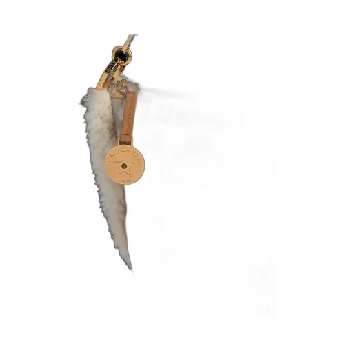 Dioralps Diorstar Hobo Bag With Chain