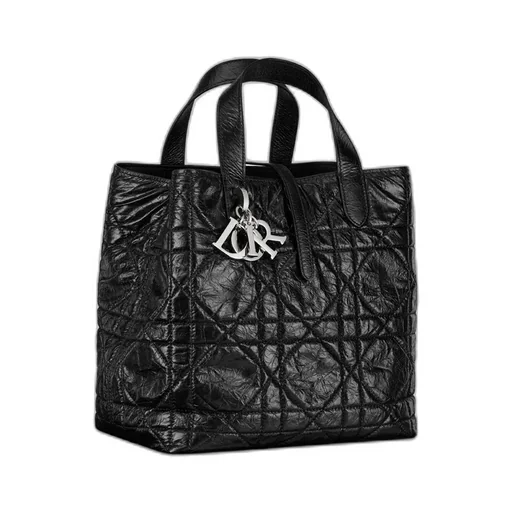 Medium Dior Toujours Vertical Tote Bag