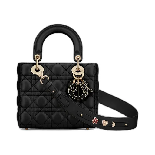 Small Lady Dior My Abcdior Bag