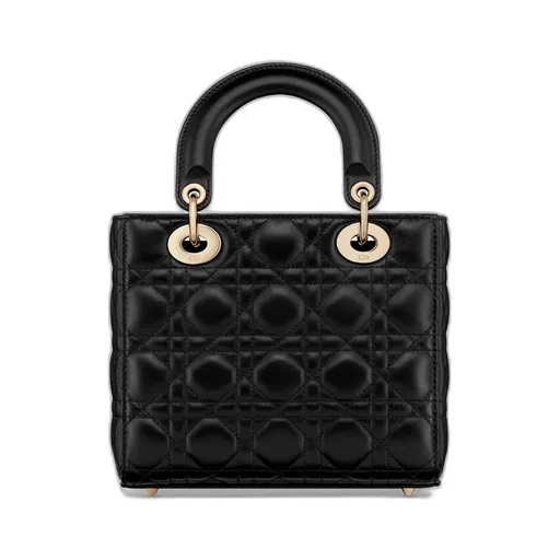 Small Lady Dior My Abcdior Bag