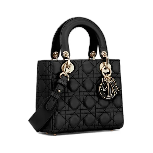 Small Lady Dior My Abcdior Bag