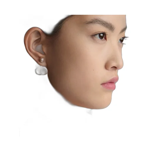 Dior Tribales Earrings