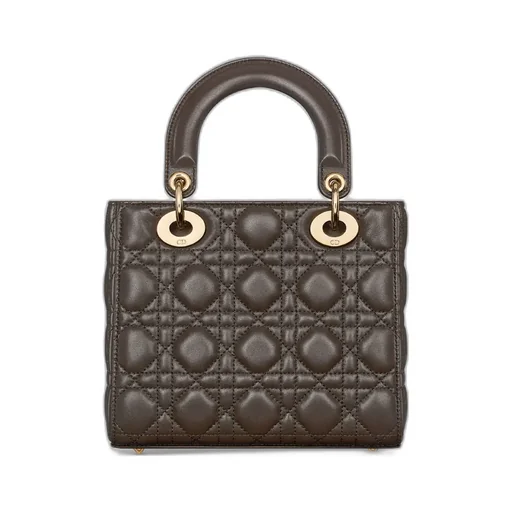 Small Lady Dior My Abcdior Bag