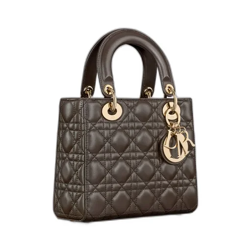 Small Lady Dior My Abcdior Bag