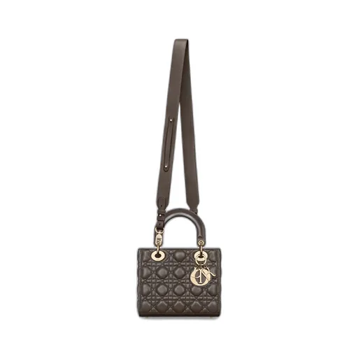 Small Lady Dior My Abcdior Bag