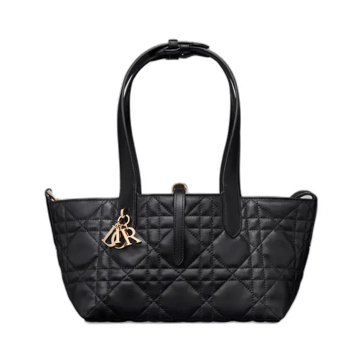 Small Dior Toujours Bag