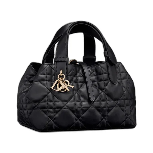 Small Dior Toujours Bag