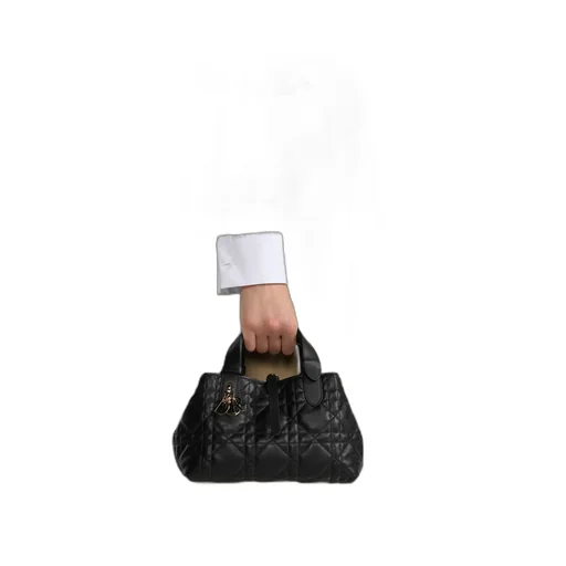 Small Dior Toujours Bag