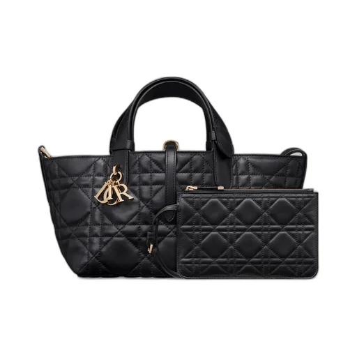 Small Dior Toujours Bag