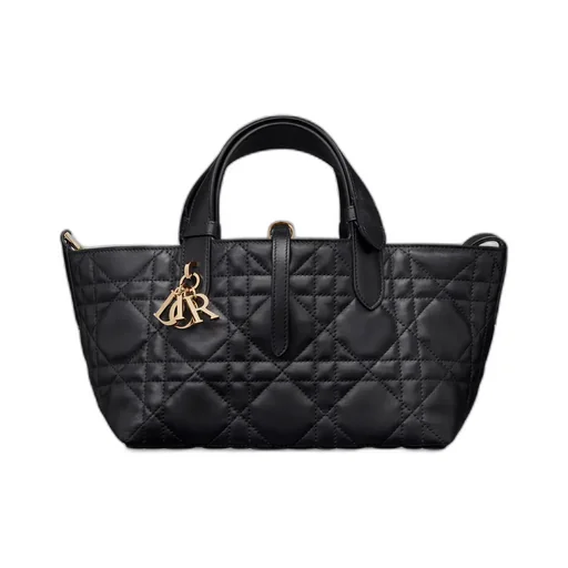 Small Dior Toujours Bag