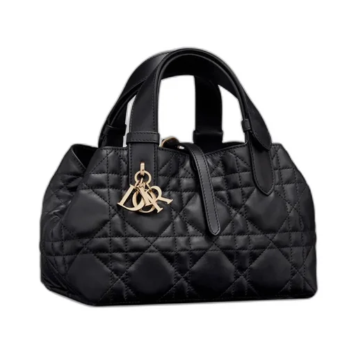 Small Dior Toujours Bag