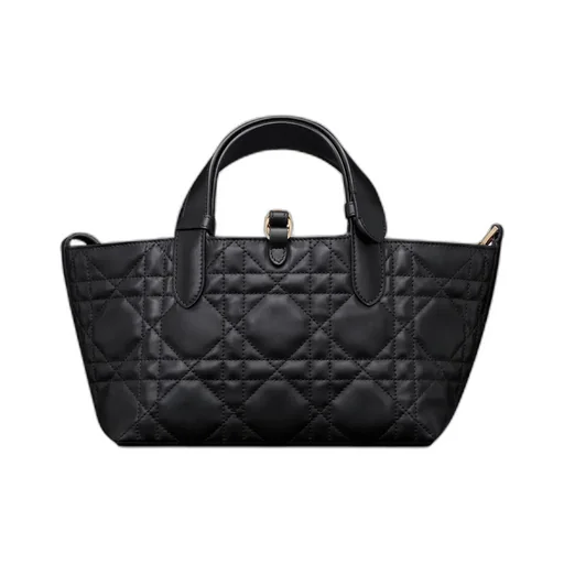 Small Dior Toujours Bag