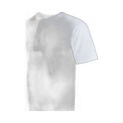 Buzz Rickson's Buttoned T-Shirt
