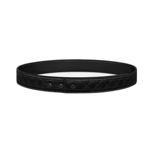 Reversible Belt Strap