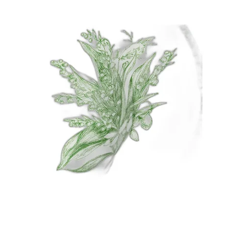 Soup Plate