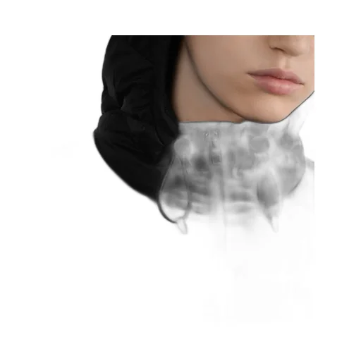 Dioralps Hooded Down Jacket