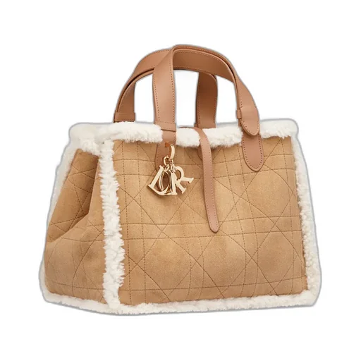 Dioralps Medium Dior Toujours Bag