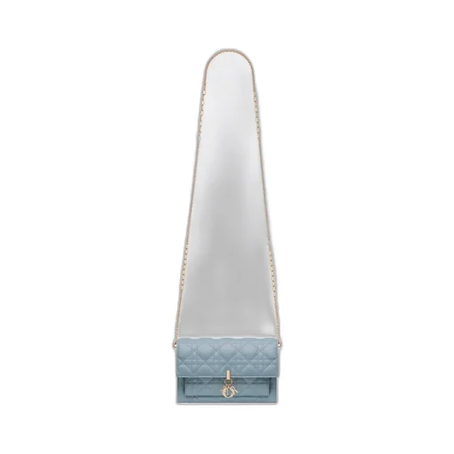 My Dior Daily Pouch With Chain