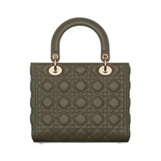 Medium Lady Dior Bag