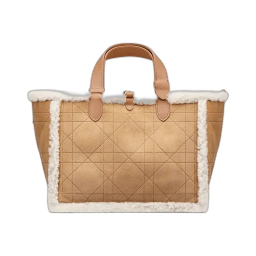 Dioralps Medium Dior Toujours Bag