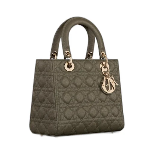 Medium Lady Dior Bag