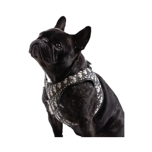 Pet Harness