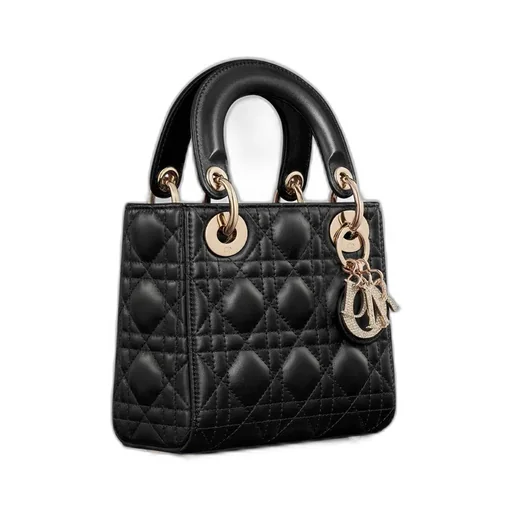 Mini Lady Dior Bag