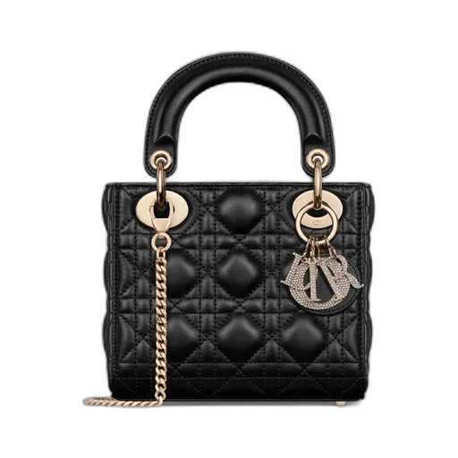 Mini Lady Dior Bag