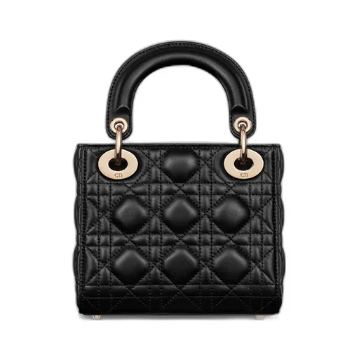 Mini Lady Dior Bag