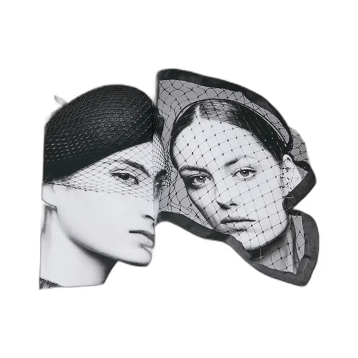 Book: Chapeaux Dior!