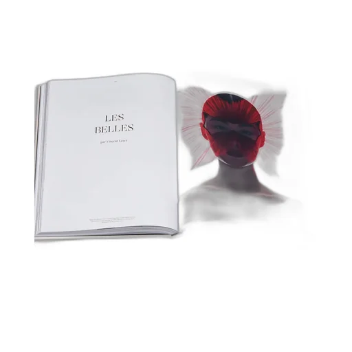 Book: Chapeaux Dior!