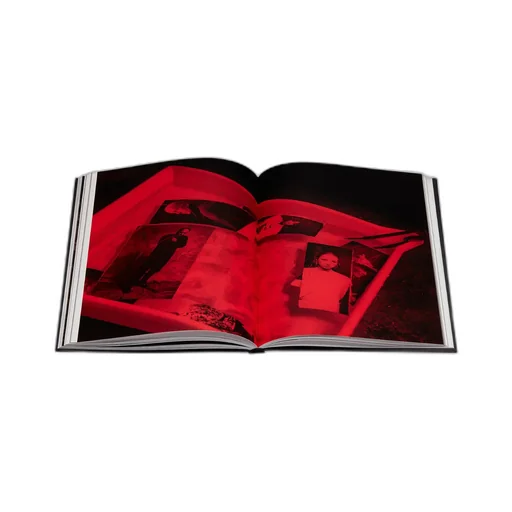 Book: The Dior Sessions